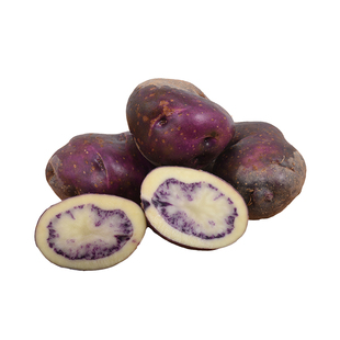 大凉山乌洋芋七彩土豆马铃薯迷你土豆产地直销当季蔬菜新鲜农产品