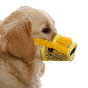 防咬狗嘴套防叫狗口罩狗嘴罩金毛泰迪嘴套小型犬防狗叫嘴套防乱吃