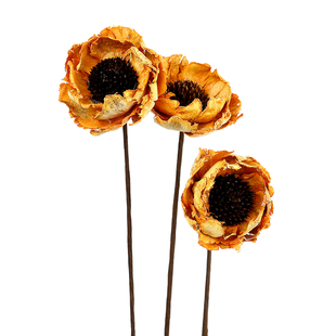 塔莎梦园虞美人干花花束送闺蜜干花客厅摆设店面橱窗家居装饰 diy