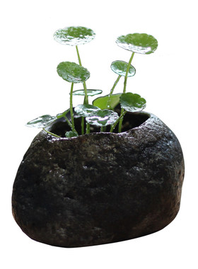 花器鹅卵石创意菖蒲铜钱草盆天然