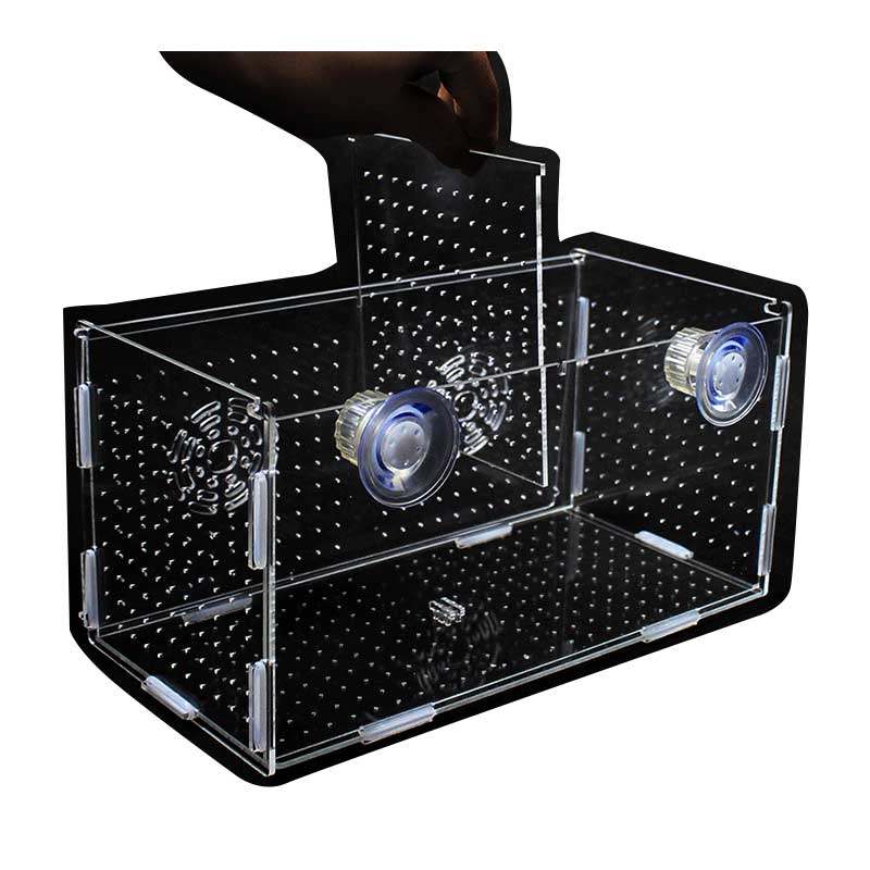 2 隔离盒板亚克力鱼缸箱水族用品鱼苗繁殖盒双多格带盖大小号包邮