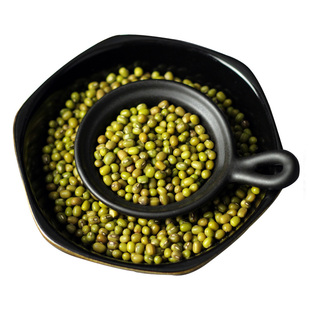 建宁公主农家自种绿豆五谷杂粮小绿豆绿豆煮汤500g