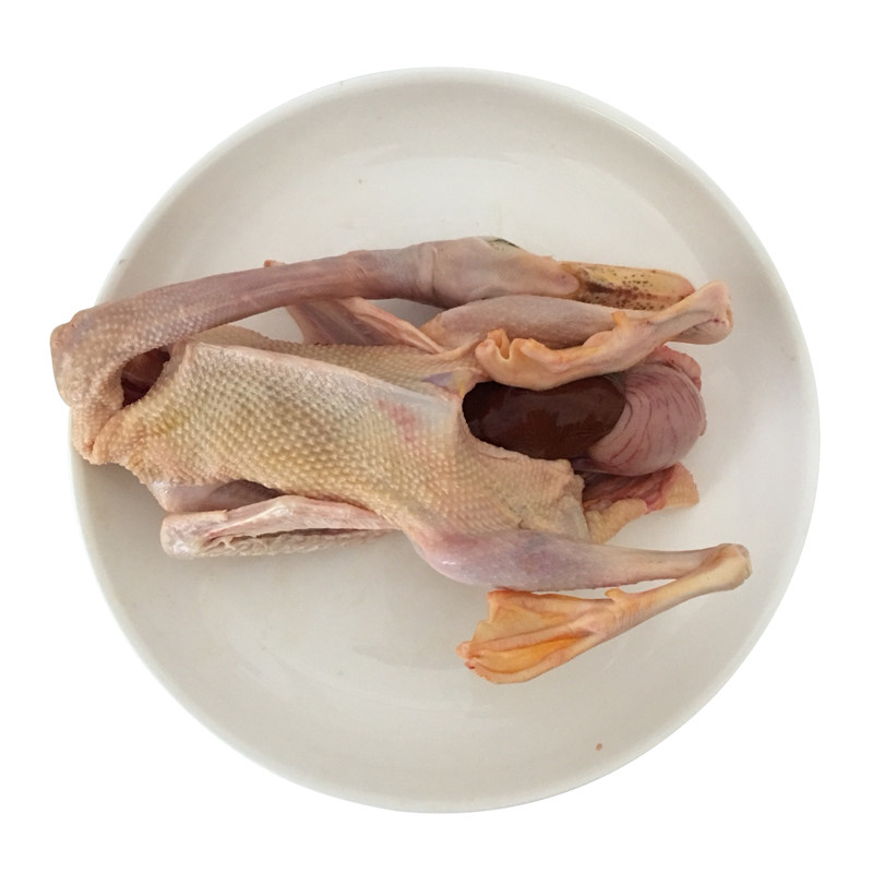 正宗农家少量散养自由觅食老鸭 土鸭 母鸭 老鸭子麻鸭 新鲜草鸭肉