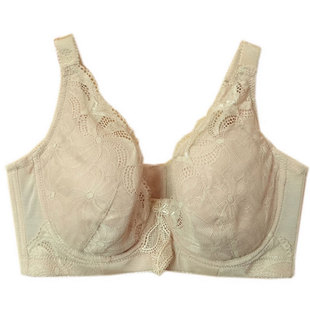 佳妮拉丝定型聚拢调整文胸夏季薄款大胸显大罩杯小D杯内衣205201