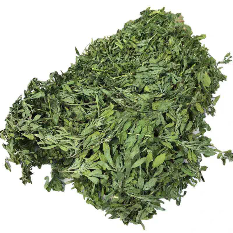 小七麻麻 龙猫紫花苜蓿草1kg荷兰猪草兔子草饲料苜宿草幼兔粮干草