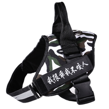狗狗金毛拉布拉多中大小型犬胸背带1