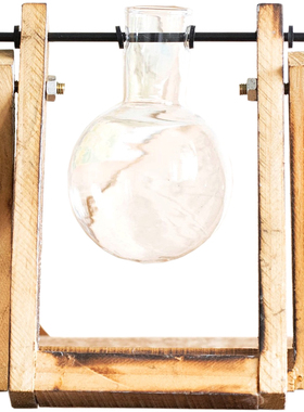 空间玻璃木架灯泡水培桌面摆件