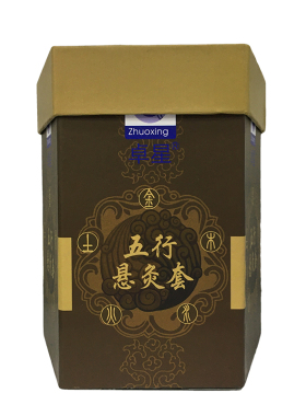 艾灸美容院祛湿熏蒸仪