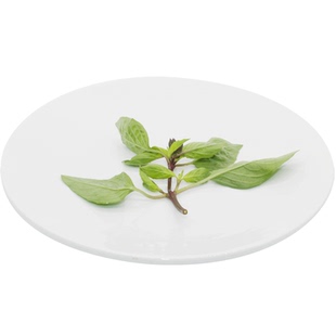 新鲜食用金不换 九层塔 250g 鱼香菜 紫色杆 三杯鸡 西餐植物香料