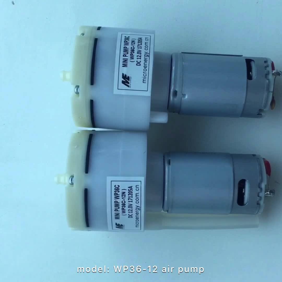 Mini Air Pump Wp36c12n 1518lpm Air Flow 450600mmhg Pressure 12v Dc