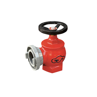 天广牌消防栓SN65/SN50型室内外消防箱阀门消火栓水带用灭火器材