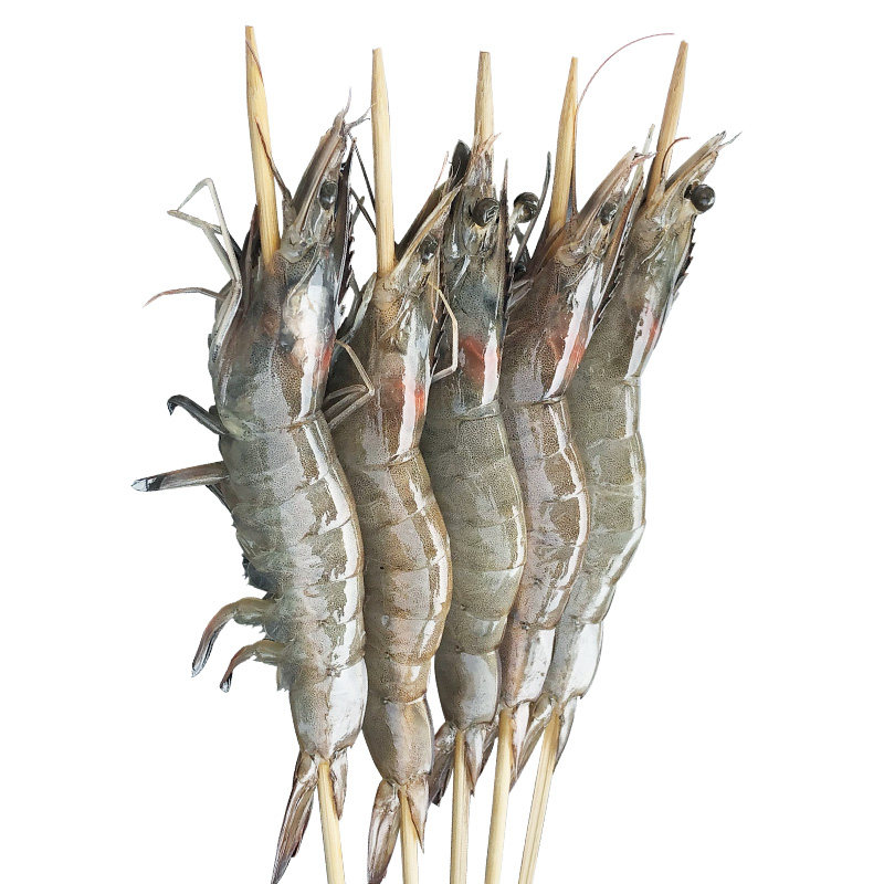 冷冻半成品撸串配送聚会烧烤食材
