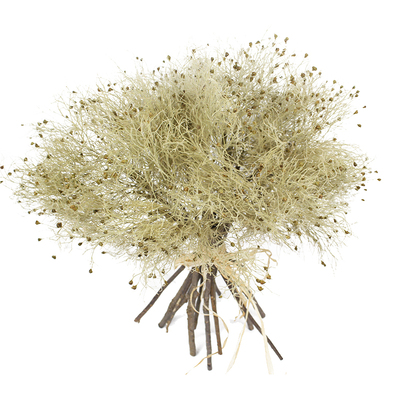 梦幻草干枝干果尤加利个性装饰