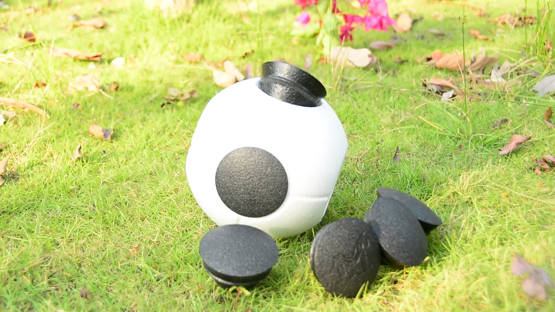 football pool toy