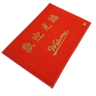大门口入门家用吸水门毯防滑垫走廊地毯厨房防滑脚垫吸尘防水地毯
