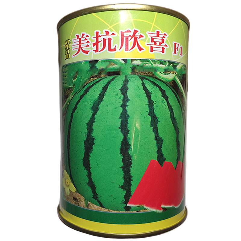 圆形超甜抗重茬西瓜高产早熟西瓜