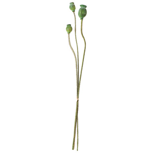 艾伊娜复古新中式仿真花虞美人果禅意摆件假花绿色果子装饰干花