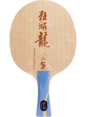 dhs红双喜新版狂飙5x马龙底板