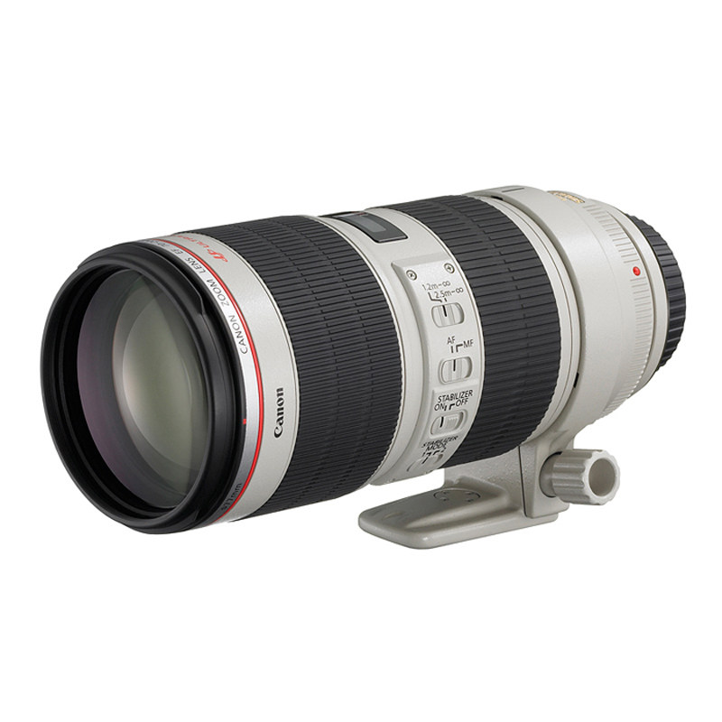 单反镜头出租 佳能70-200mm f/2.8L IS II爱死小白兔租用孔像器材