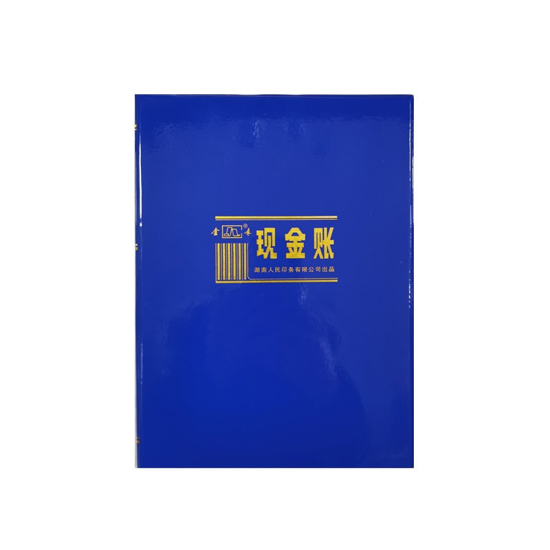 金录财务专用存款收入支持明细账本/册银行帐现金帐日记总分类账