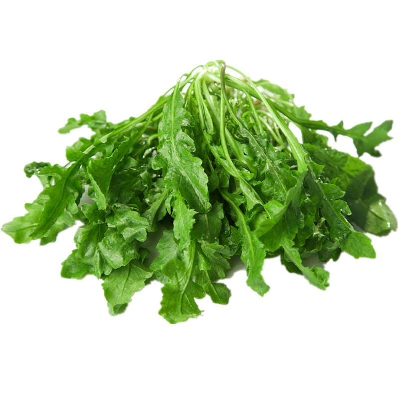 嫩荠菜新鲜现挖现采上海荠菜非冷冻野菜包邮鲜荠菜地菜送礼还愿