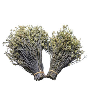 甘南藏区卓尼特产干蕨菜山珍野生蕨干龙爪菜自然晾晒500g干货包邮