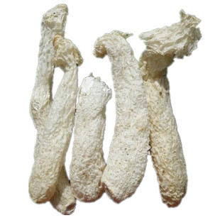 新货福建竹荪竹笙干货无裙杆子500g 天然无硫熏农家货直销包邮