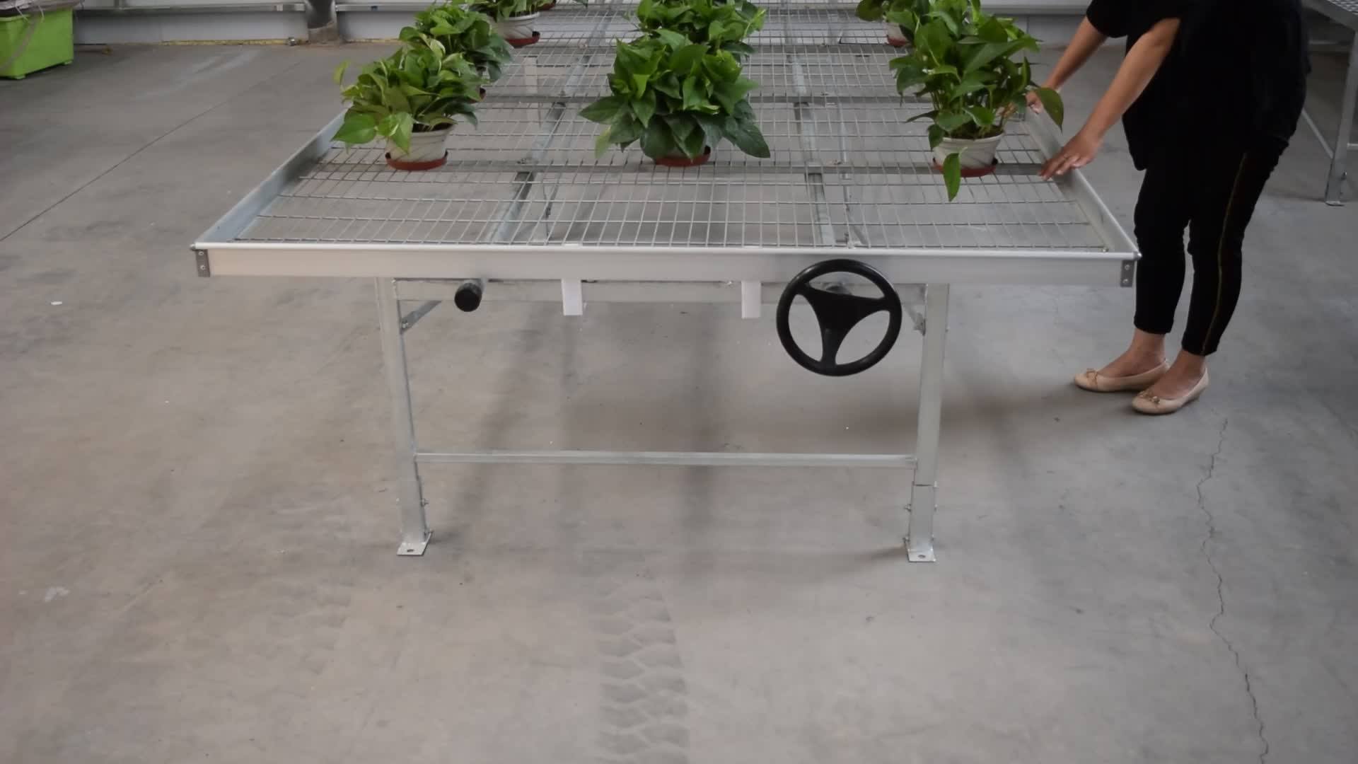 Hot Galvanized Greenhouse Welded Rolling Benches/tables Buy Plastic