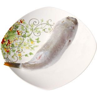 食用河豚鱼海鲜类新鲜河鲀鱼肉大型去毒东方鲀速冷冻水产杀前400g