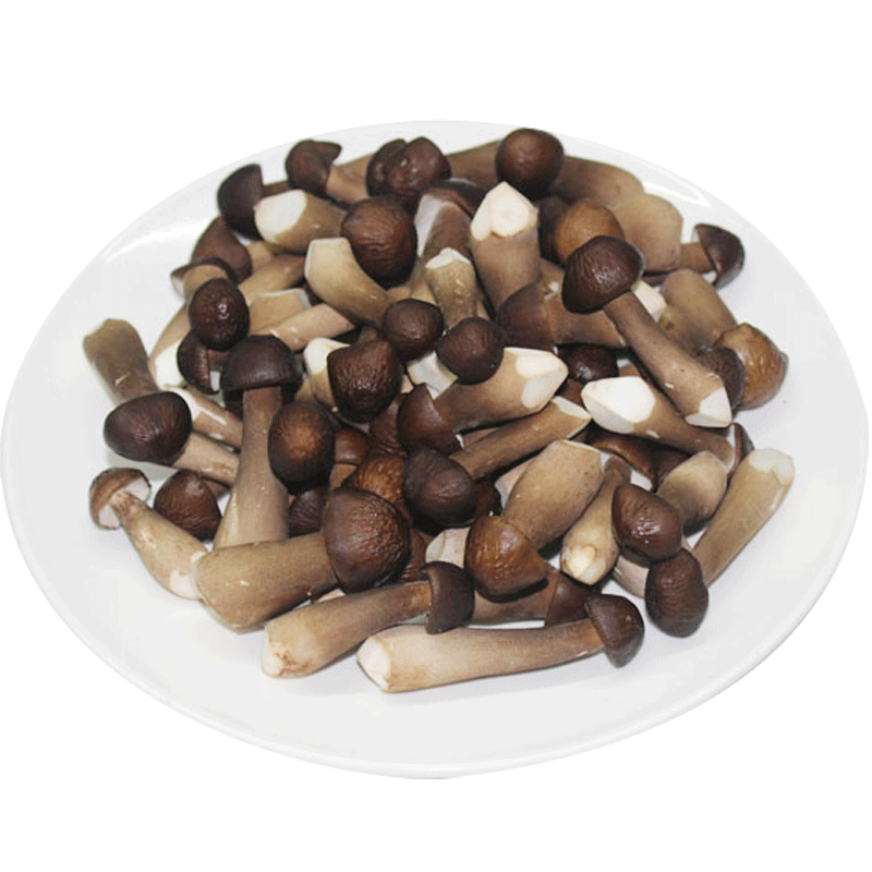 新鲜黑皮火把500g食材鸡枞菌
