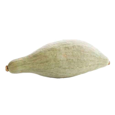 新疆贵族甜板栗贝贝巨型南瓜种子