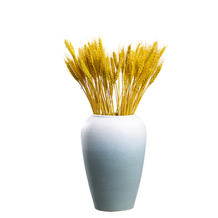 景德镇陶瓷小花瓶摆件客厅插花复古粗陶陶罐干花水养花瓶花盆清仓