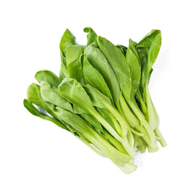 绿领鸡毛菜菜种子夏季耐热耐雨白梗火白菜青菜小白菜种籽20克/袋