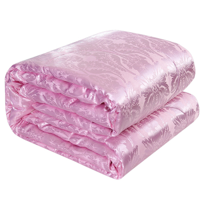 桑蚕丝加厚双人春秋被子