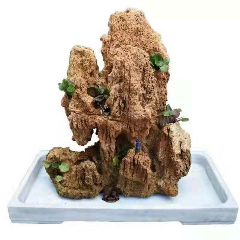 吸水石上天然精品镇宅假山芦管石