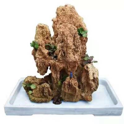 吸水石上天然精品镇宅假山芦管石