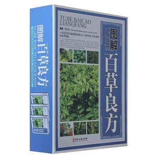 图解百草良方彩图版套装3册中草药中药材彩色图谱大全附名方验方剂中药材药方本草纲目中药大辞典中医学畅销书 正版包邮图书籍
