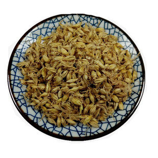 中药材生麦芽 500g 大麦毛农家胚芽全芽整芽生大麦芽茶生麦牙