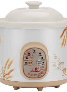电炖锅全自动煲汤锅陶瓷煮粥神器