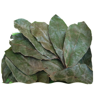 精品红毛榴莲干叶子刺果番荔枝干叶子GraviolaSoursop叶子1斤包邮