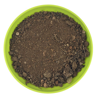 营养土500克微景观多肉植物专业花卉基质种植土独仙人球沙生植物
