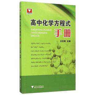 新版高中化学方程式手册大全教材同步化学资料高中生重难点辅导书籍知识清单化学知识点总结高三化学教材资料中学教辅