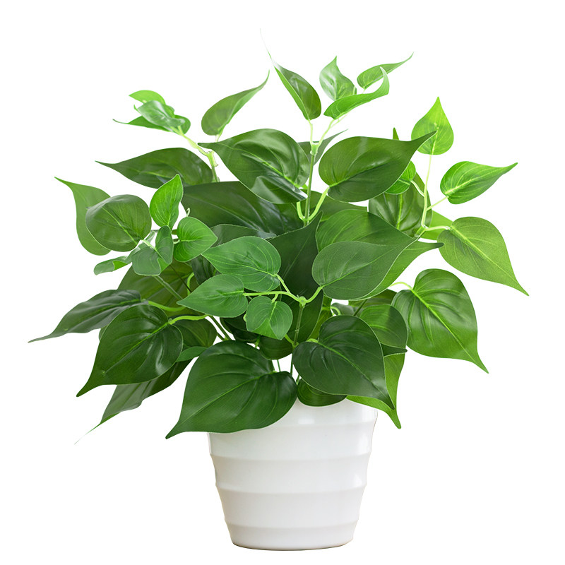 盆栽仿真植物绿萝防水防晒绿萝