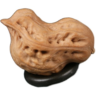 文玩手把件异形迷你小鸟成对鸳鸯盘玩核桃畸形原色和平鸽麻核桃