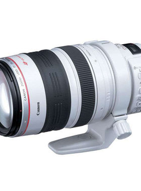 EF长焦28-300打鸟佳能28-300mm