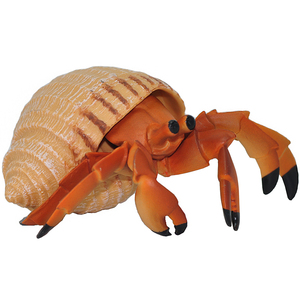 寄居蟹海洋动物螃蟹实心仿真模型玩具礼物男孩女孩贝壳海底生物