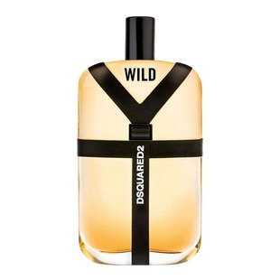 Dsquared2 二次方 Wild 野外木质东方调持久留香男士淡雅香水