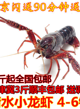 4-6钱清水虾活虾麻辣小龙虾