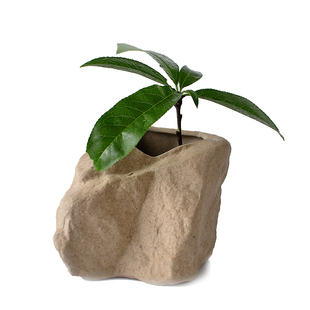 【天天特价】岩泥粗陶水培小花插花器石头迷你水仙花盆小花瓶摆件