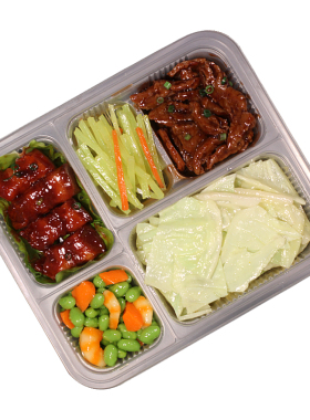 模型日式便当套餐外卖网红美食